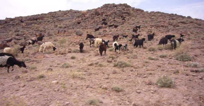 From Ouarzazate: 2-Day Erg Lihdoui and Mhamid Desert Tour - Experience Sahara Camel Ride
