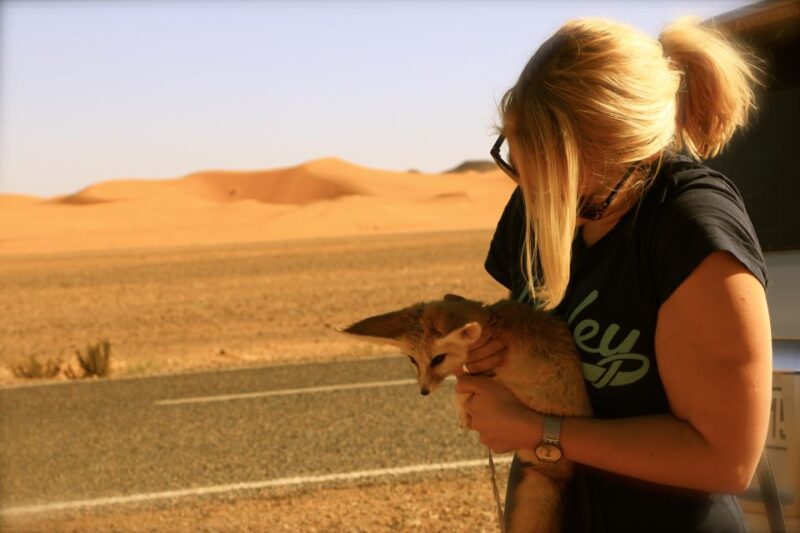 From Ouarzazate: Private 2-Day Merzouga Desert Tour - Key Points