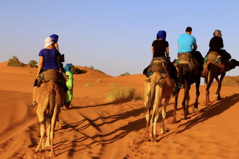 From Ouarzazate: Private 2-Day Merzouga Desert Tour - Exclusion Details