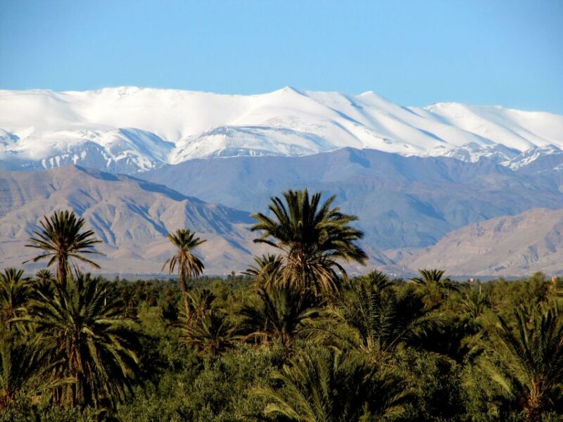 From Ouarzazate: Private 2-Day Merzouga Desert Tour - Customer Feedback
