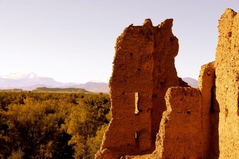 From Ouarzazate: Private Day Trip to Zagora With Camel Ride - Inclusions