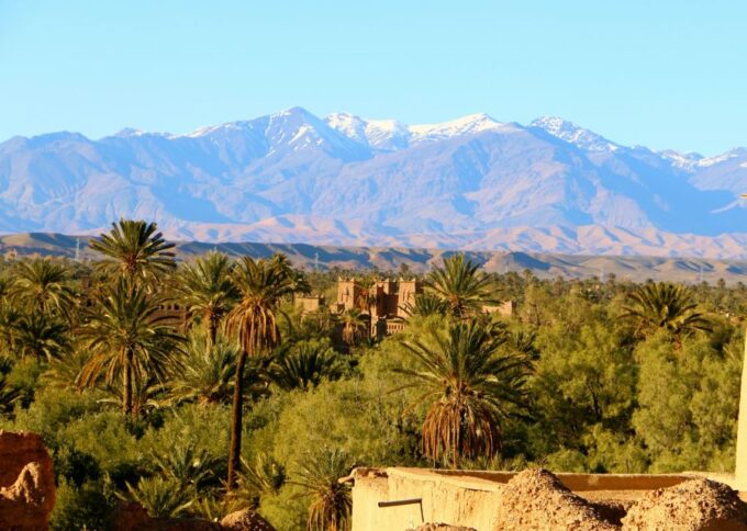 From Ouarzazate: Private Day Trip to Zagora With Camel Ride - Departure and Return Details