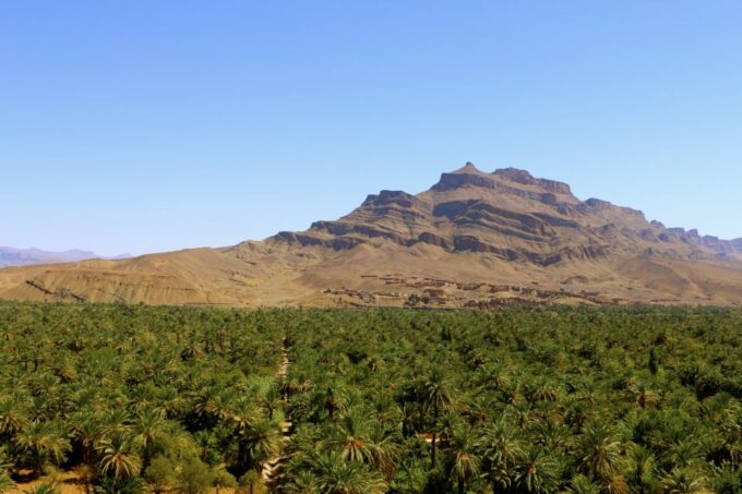 From Ouarzazate: Private Day Trip to Zagora With Camel Ride - Pricing and Booking