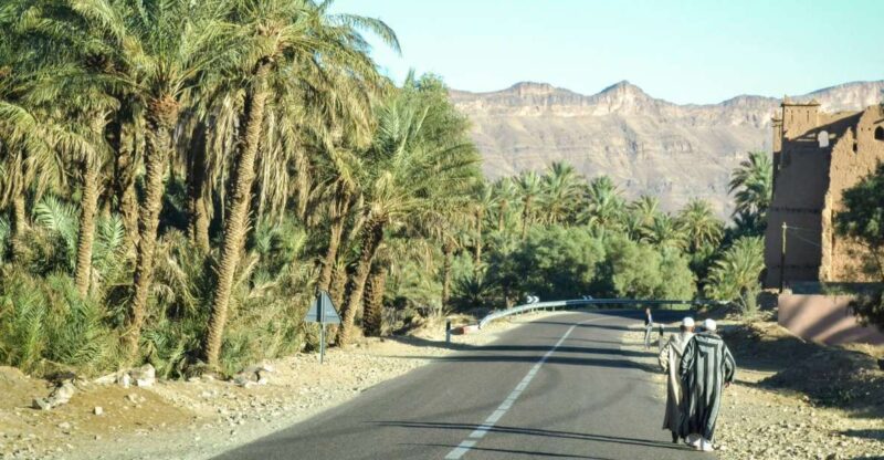 From Ouarzazate: Zagora and Draa Valley Day Tour - Key Points