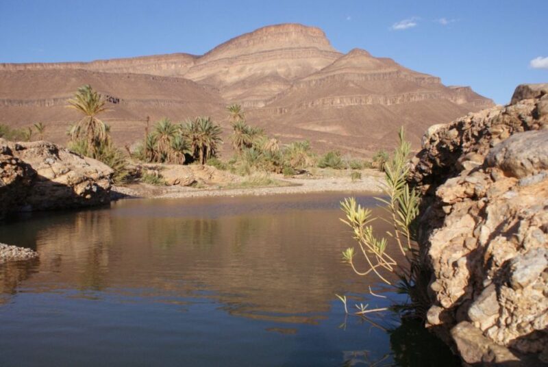 From Ouarzazate: Zagora and Draa Valley Day Tour - What to Bring