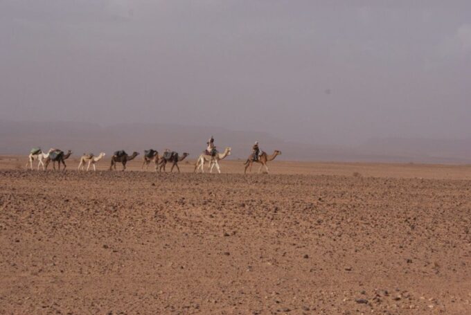 From Ouarzazate: Zagora and Draa Valley Day Tour - Customer Feedback