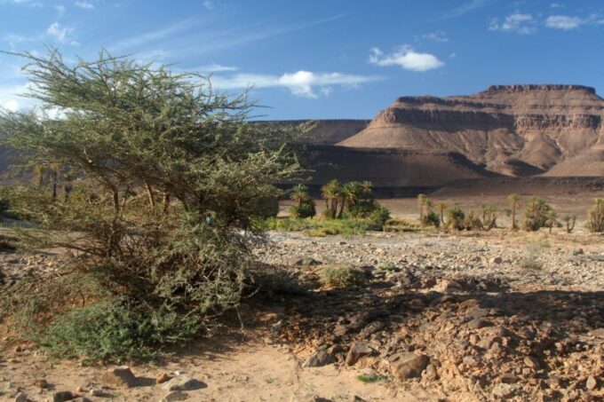 From Ouarzazate: Zagora and Draa Valley Day Tour - Pickup and Duration