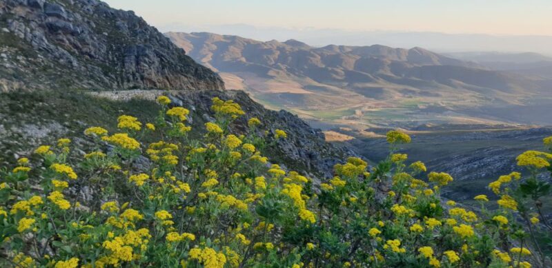 From Oudtshoorn: Full Day Swartberg Mountain Private Tour - Itinerary Highlights