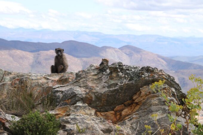From Oudtshoorn: Full Day Swartberg Mountain Private Tour - Sandstone Formations