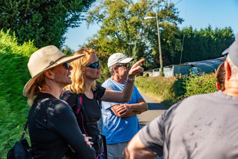From Oviedo: Half-Day Camino De Santiago Hike - Asturian Countryside and Culture