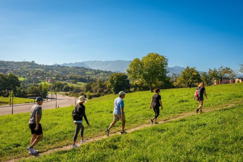 From Oviedo: Half-Day Camino De Santiago Hike - Halfway Point and Refreshments