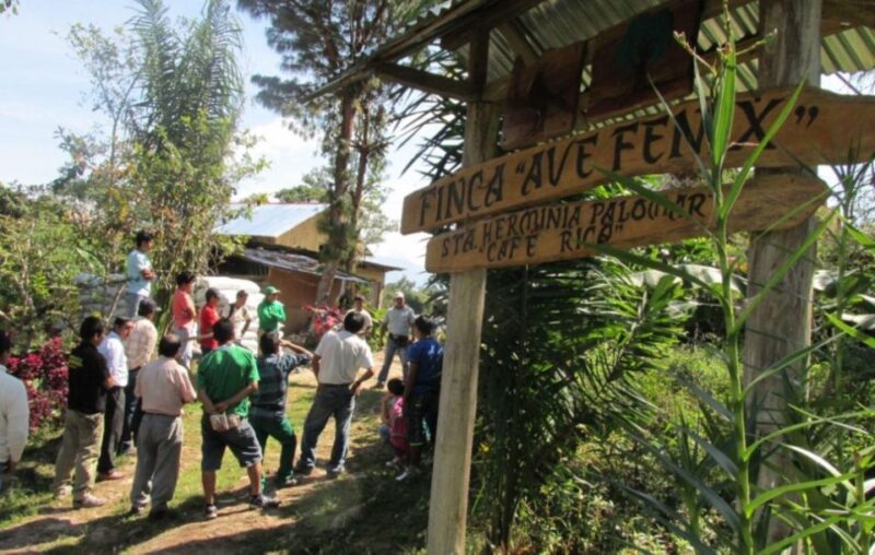 From Oxapampa | Villa Rica the Capital of the Coffee Route - Transportation and Group Size