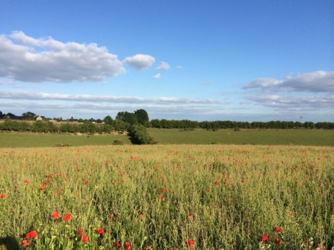 From Oxford: Cotswolds Towns and Villages Small Group Tour - Stow-on-the-Wold and Beyond