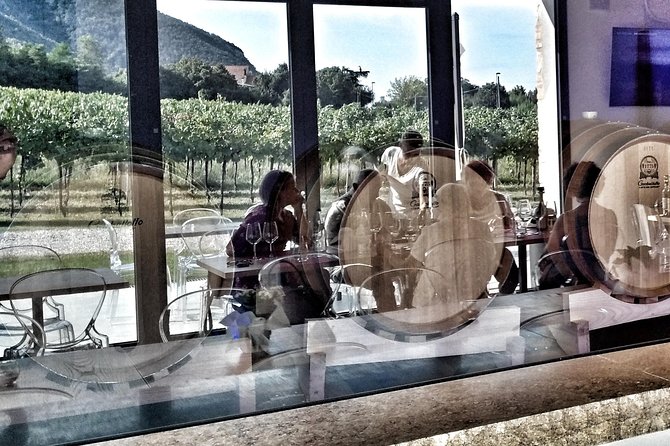 From Padua: Olive Oil & Wine in the Euganean Hills - Inclusions in the Tour
