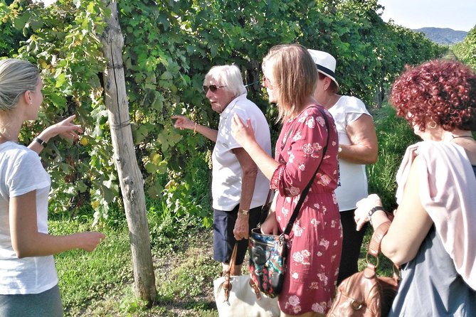 From Padua: Olive Oil & Wine in the Euganean Hills - Additional Information About the Tour
