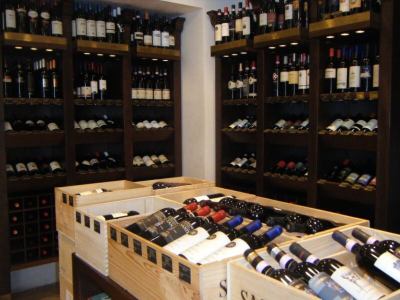 From Padua: Walking & Wine Tasting City Tour - Key Points