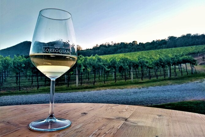 From Padua, Wine Tour in the Euganean Hills - Tour Overview