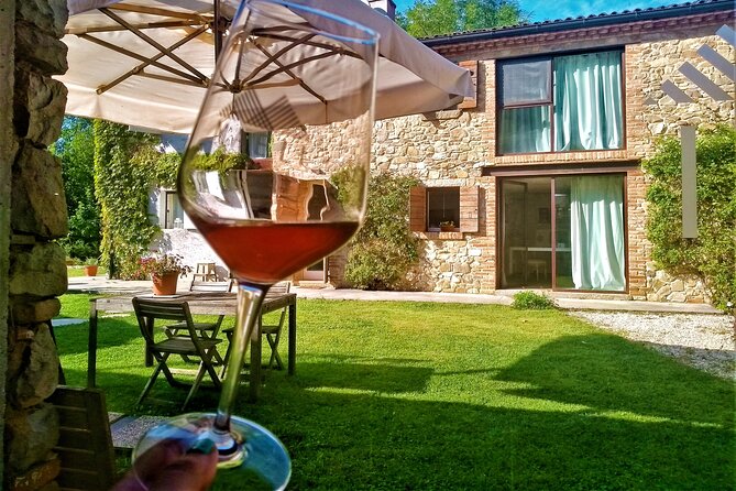From Padua, Wine Tour in the Euganean Hills - Accessibility and Participation