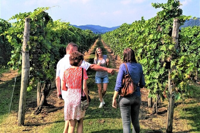 From Padua, Wine Tour in the Euganean Hills - Exploring the Euganean Hills