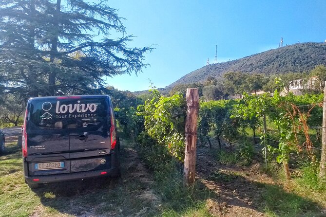 From Padua, Wine Tour in the Euganean Hills - Tasting Local Wines and Products