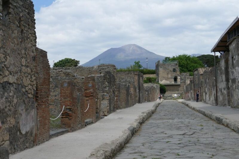 From Paestum:Pompeii Guided Tour With Wine Tasting and Lunch - Pricing and Inclusions