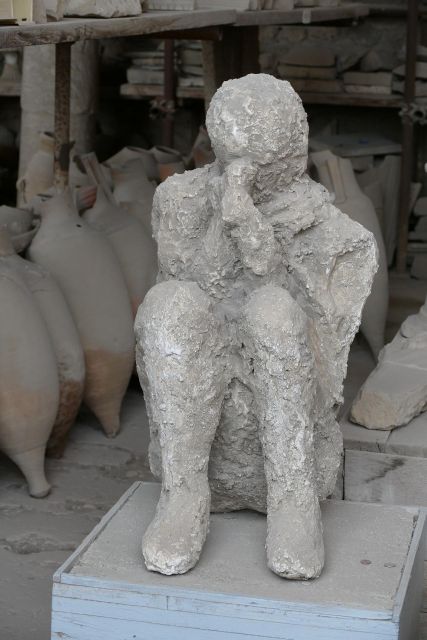 From Paestum:Pompeii Guided Tour With Wine Tasting and Lunch - Accessibility and Mobility