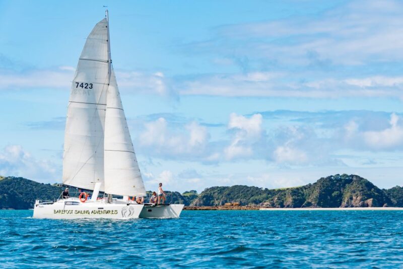 From Paihia: Island-Hopping Sailing Cruise With Picnic Lunch - Inclusions and Requirements