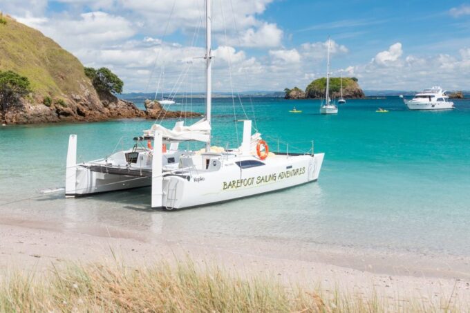 From Paihia: Island-Hopping Sailing Cruise With Picnic Lunch - Customer Ratings and Feedback