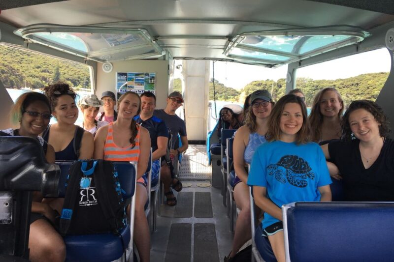 From Paihia: Scenic Cruise With Roberton Island Stopover - Key Points