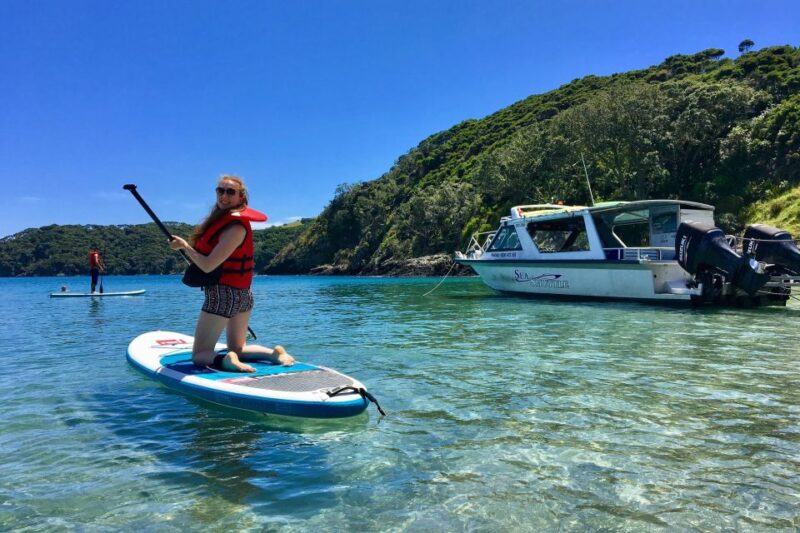 From Paihia: Scenic Cruise With Roberton Island Stopover - Important Information