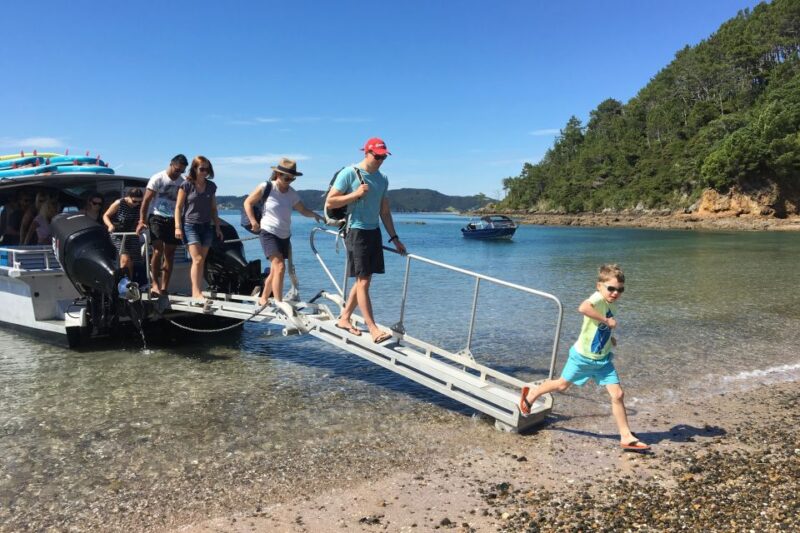 From Paihia: Scenic Cruise With Roberton Island Stopover - Customer Reviews