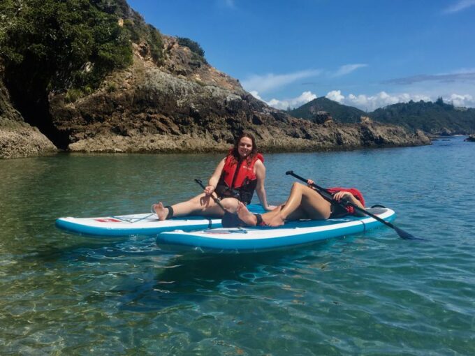 From Paihia: Scenic Cruise With Roberton Island Stopover - What to Bring
