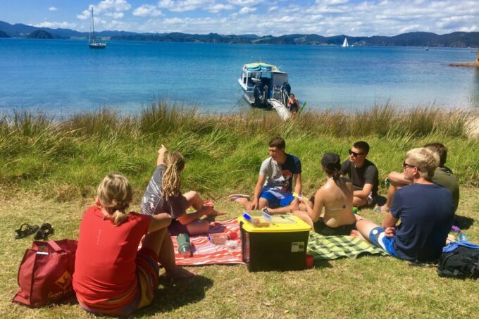 From Paihia: Scenic Cruise With Roberton Island Stopover - Group Size and Availability