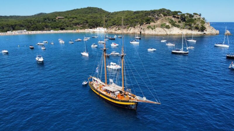 From Palamos: Scenic Boat Trip to Calella De Palafrugell - Key Points