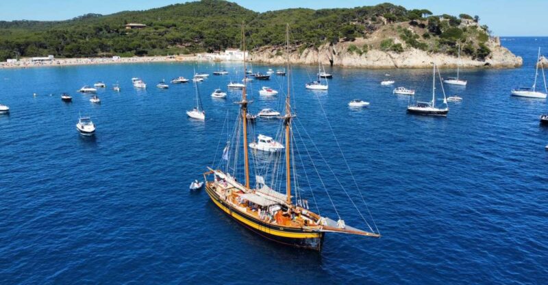 From Palamos: Scenic Boat Trip to Calella De Palafrugell - Highlights of the Experience