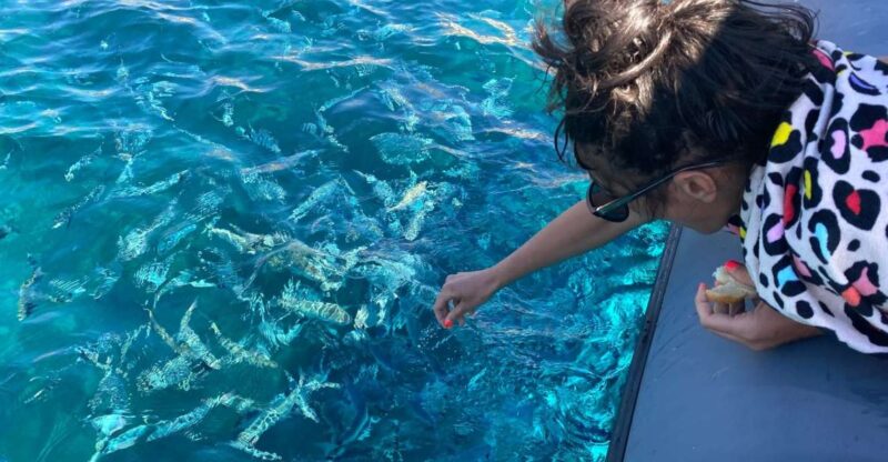 From Palau: Corsican Archipelago Half-Day RIB Boat Trip - Inclusions