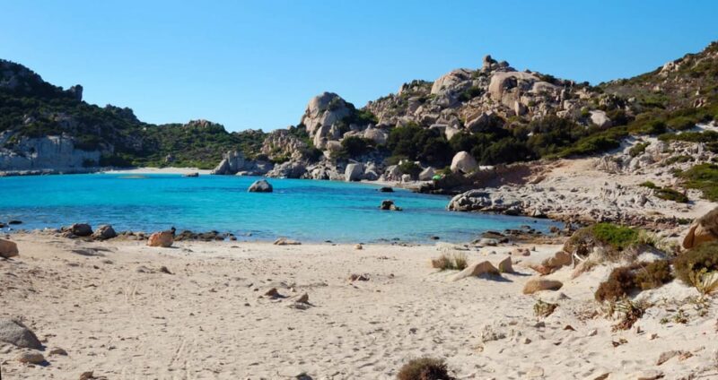 From Palau: La Maddalena Cruise With Lunch & Drinks - Itinerary and Highlights