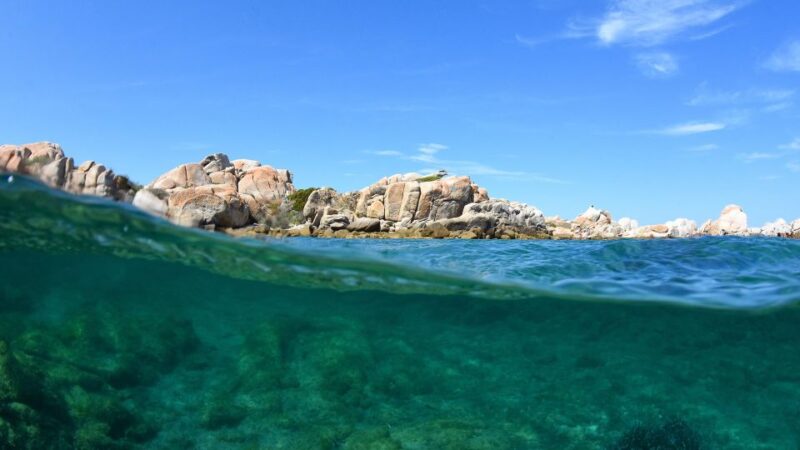 From Palau: South Corsica Trip by Wood Speedboat With Lunch - Key Points
