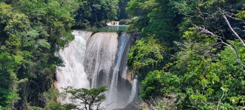 From Palenque: El Salto Waterfall Private Tour - Key Points