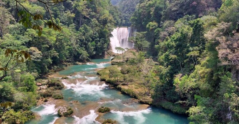 From Palenque: El Salto Waterfall Private Tour - Experience Highlights