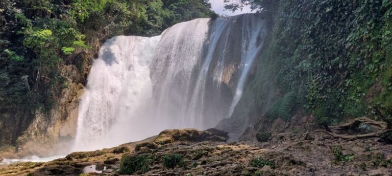 From Palenque: El Salto Waterfall Private Tour - Booking Information
