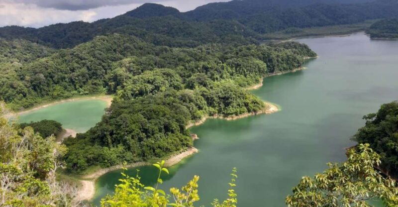 From Palenque: Metzabok Lacandona Jungle Private Tour - Experience Features