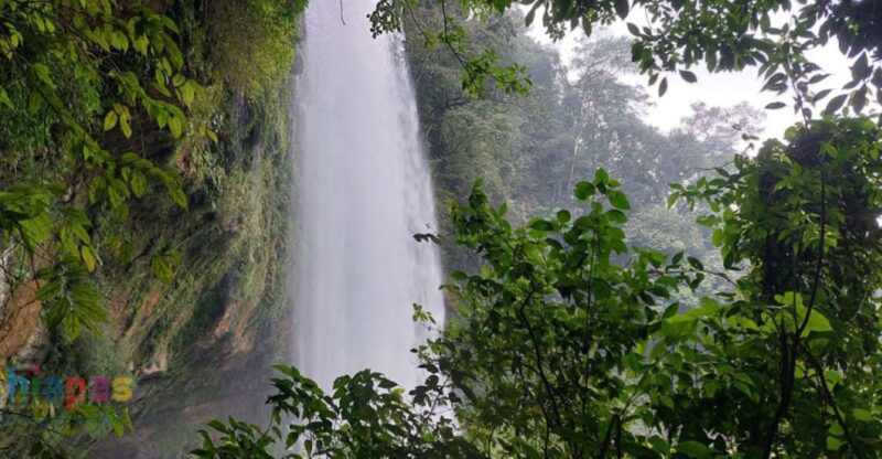From Palenque: Misol-Ha and Agua Azul Waterfalls Tour - Itinerary Highlights