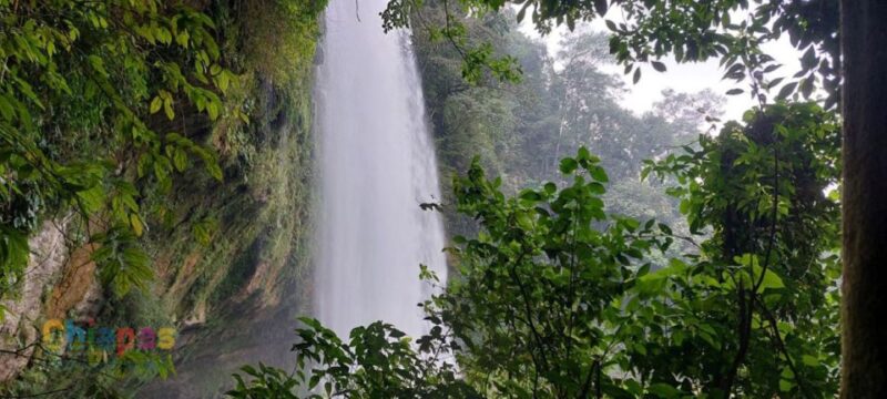 From Palenque: Misol-Ha and Agua Azul Waterfalls Tour - Experience Agua Azul Waterfalls