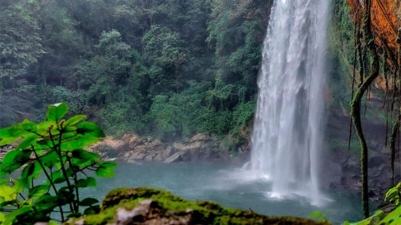 From Palenque: Palenque, Agua Azul Waterfalls and Misol-Ha - Highlights and Experience
