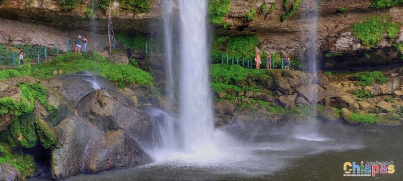 From Palenque: Palenque, Agua Azul Waterfalls and Misol-Ha - Customer Feedback and Ratings