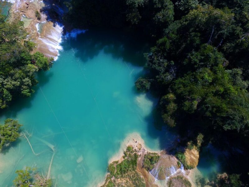 From Palenque: Palenque Ruins and Waterfalls Roberto Barrios - Highlights and Activities