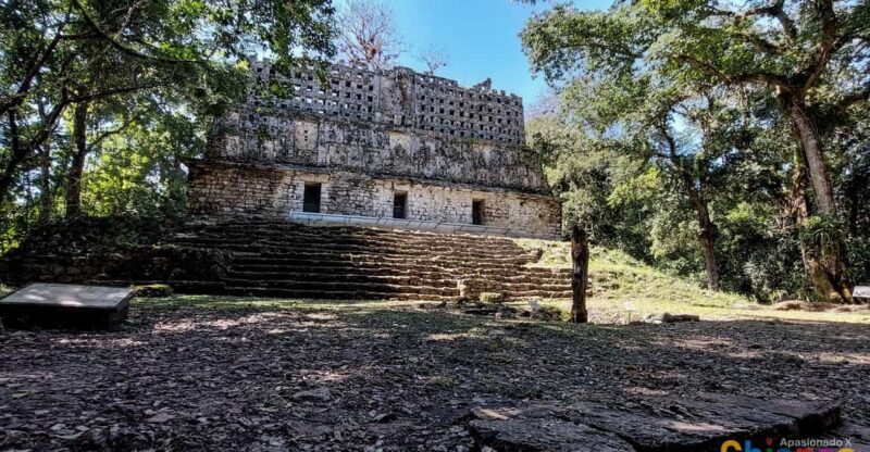 From Palenque: Yaxchilán and Bonampak Tour - Key Points