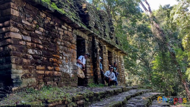 From Palenque: Yaxchilán and Bonampak Tour - Pricing and Inclusions