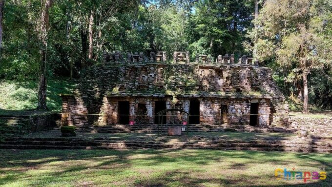 From Palenque: Yaxchilán and Bonampak Tour - Customer Feedback